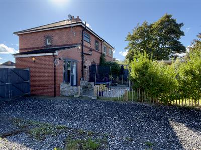 Picture 25